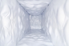 Plastikowa Apoteoza (wnętrze bez świateł), 6x2,4x2,6 m, kontener, plastik termoformowany, światło LED, 2019